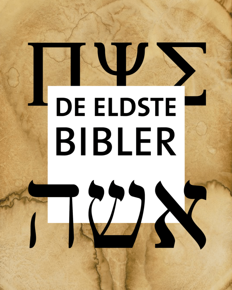 Read more about the article De eldste bibler